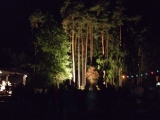 festival2010-57
