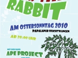 rocktherabbit